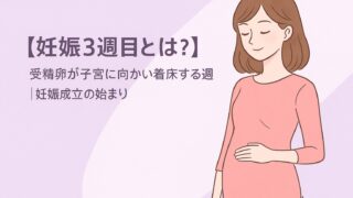 【妊娠3週目とは？】受精卵が子宮に向かい着床する週｜妊娠成立の始まり