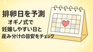 排卵日を予測｜オギノ式で妊娠しやすい日と産み分けの参考に
