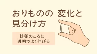 おりものの変化で排卵日を予測する方法｜色・量・タイミングの見分け方
