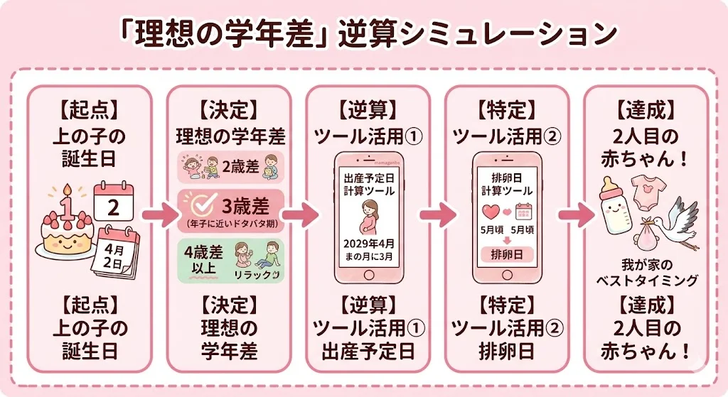 「理想の学年差」逆算シミュレーションの手順図。1.上の子の誕生日を確認、2.理想の学年差(2歳差・3歳差・4歳差)を決定、3.出産予定日計算ツールで逆算、4.排卵日計算ツールで妊活タイミングを特定、という4ステップで「我が家のベストタイミング」を導き出すフローチャート。